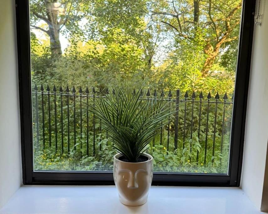 Polly'S Place Apartment Taunton & Free Off Road Parking & Wifi エクステリア 写真